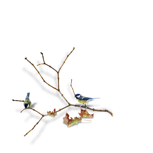 őszi állatok_5.png